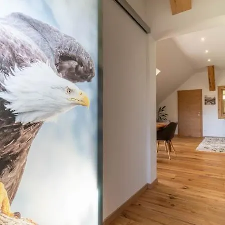 Adlernest * Ramsau am Dachstein